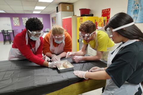 Eastlake High School Biology class teacher and students study a dissected specimen in a group.